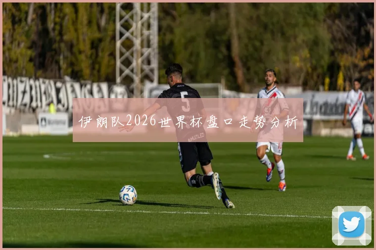 伊朗队2026世界杯盘口走势分析