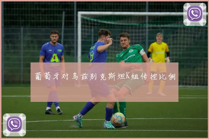 葡萄牙对乌兹别克斯坦K组传控比例