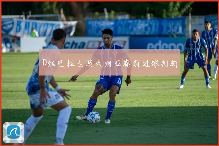 D组巴拉圭澳大利亚赛前进球判断