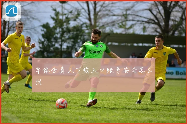 华体会真人下载入口账号安全怎么找