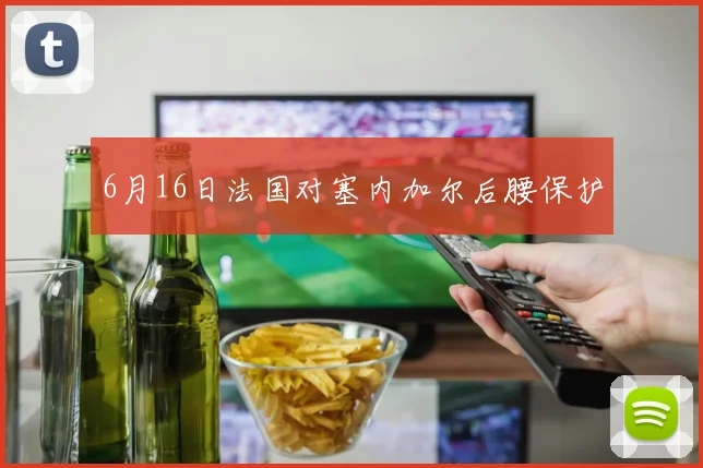 6月16日法国对塞内加尔后腰保护