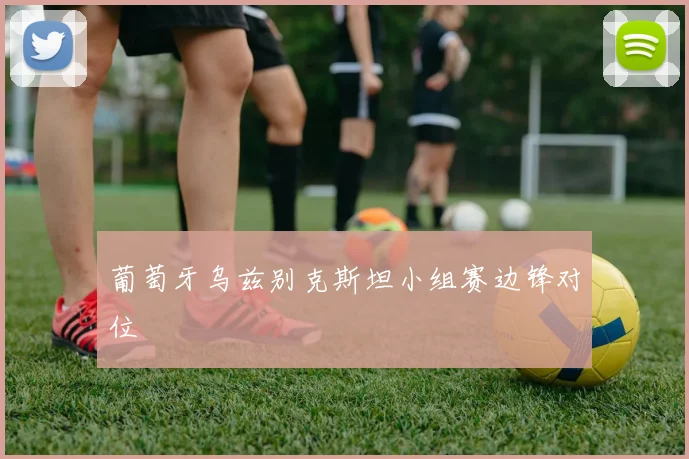 葡萄牙乌兹别克斯坦小组赛边锋对位