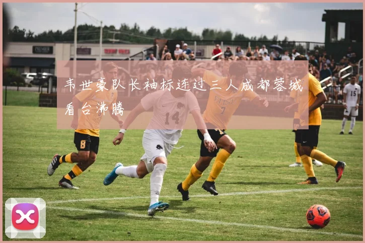 韦世豪队长袖标连过三人成都蓉城看台沸腾