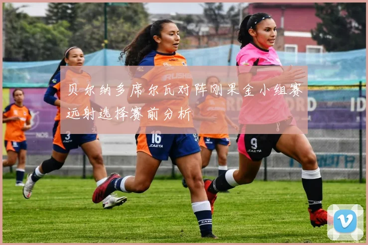 贝尔纳多席尔瓦对阵刚果金小组赛远射选择赛前分析