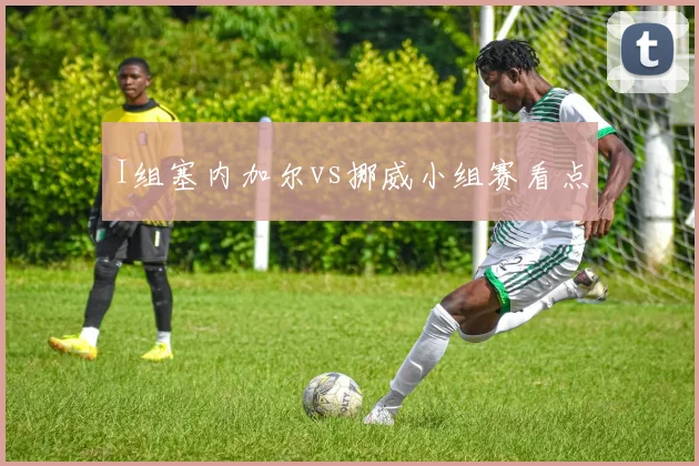 I组塞内加尔vs挪威小组赛看点