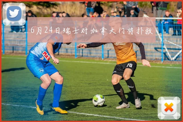 6月24日瑞士对加拿大门将扑救